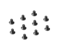 #XR913203 - XRAY HEX SCREW 110� SFH M2x3  (10)