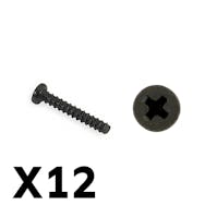 #FTX9755 - FTX TRACER PAN HEAD SELF TAPPING SCREWS PBHO2*12MM