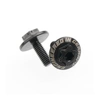 #RDRP0729 - Revolution Design Ultra Clutch Screw (2pcs)