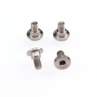 #RDRP0538 - RDRP Titanium Servo Mounting Screw (4pcs)