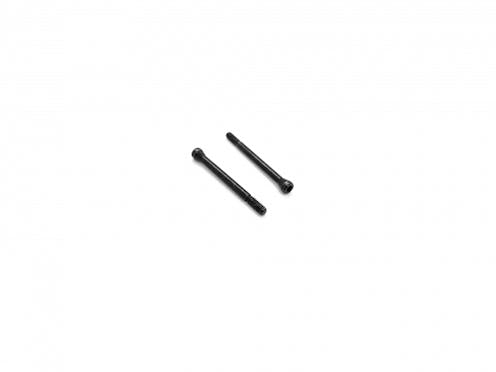 #SC2X22 - M2x22 Cap Head Screw x 2