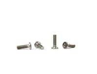 #AV10066-10 - Avid Tititanium M3 x 10mm low profile screws (4)