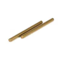 #TLR2055 - REAR INNER HINGE PIN (2)